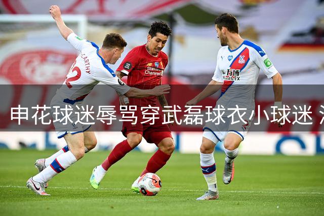 申花球迷辱骂穿武磊球衣小球迷 涉事三人被警方拘留