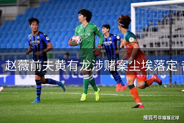 赵薇前夫黄有龙涉赌案尘埃落定 昔日商业帝国崩塌内幕